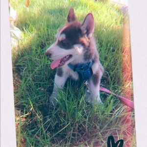 Meet your Posher, Nataly